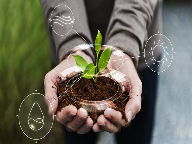 Eco-friendly Websites