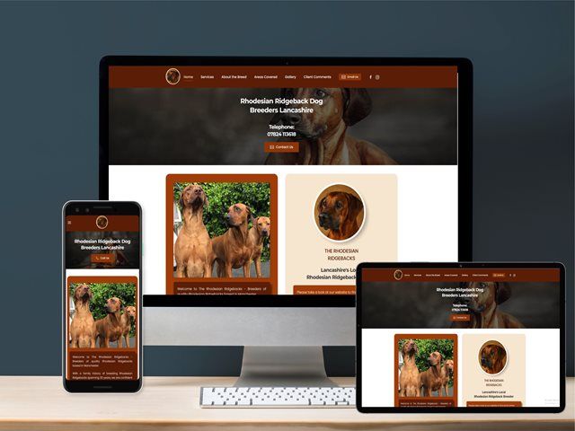 website-speed-9